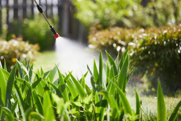 24/7 Emergency Fumigation Services experts in Gorman, NC